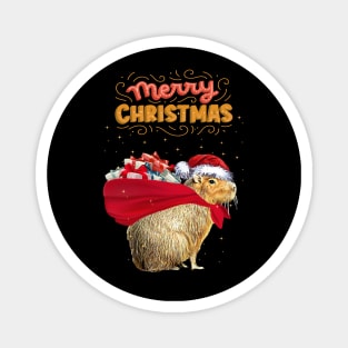 Capybara Merry Christmas, Capybara Pets, Cute capybara Magnet